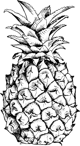 Pineapple vefsíðugerð